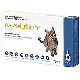 OUT OF STOCK Revolution for Cats 2.6-7.5kg 6 to 17lbs 6 pack