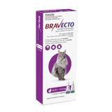 Bravecto-Lge-Cat-6.25-12.5kg-13.75---27.5lb-Spot-On-–-2-x-1.79mL-Pipette--6-Months-Protection