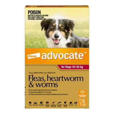 Advocate Large Dogs 22 to 55lbs 10-25kg 6 pack 1