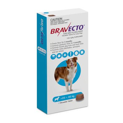 Bravecto Large Dogs 20-40kg  44 to 88lbs 1 chew tablet 1