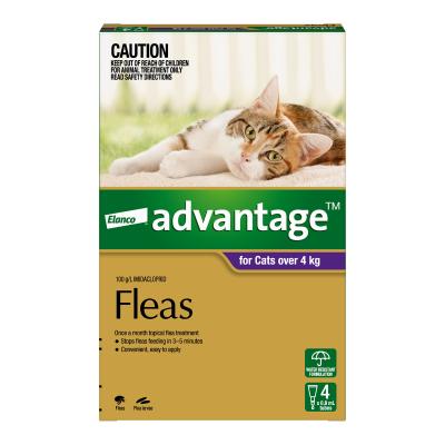 Advantage-Flea-for-Cats-4kg-Plus-9lbs-Plus-4-pack