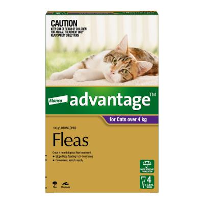 Advantage Flea for Cats 4kg Plus 9lbs Plus 4 pack 1