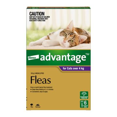 Advantage Flea for Cats 4kg Plus 9lbs Plus 6 pack 1