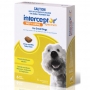 Interceptor-Small-dogs-4-11kg-9-24lbs-6-pack