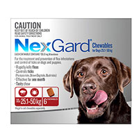 Nexgard x Large Dogs 25 - 50 Kg 55 to 110lbs 3 Pack 1