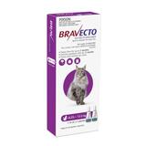 Bravecto Lge Cat 6.25-12.5kg 13.75 - 27.5lb Spot On – 2 x 1.79mL Pipette  6 Months Protection 1