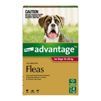 Advantage Large Dogs 10-25kg 22-55lbs 4 pack 1